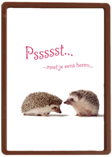 egels praten met elkaar