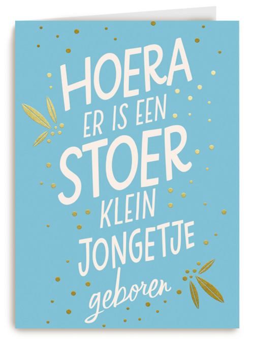 hoera er is een stoer klein jongetje geboren