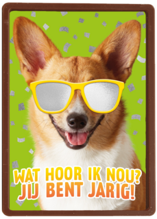 wat een coole hond voor je verjaardag