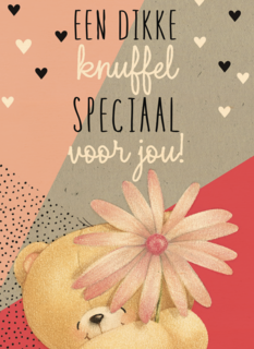 valentijnkaart een dikke knuffel speciaal voor jou