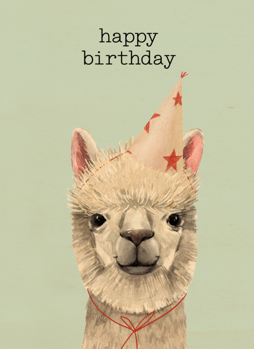 verjaardag kaart hip happy birthday lama alpaca