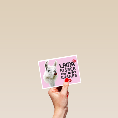 lama kisses and wishes