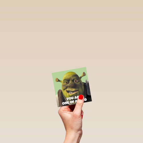 shrek you are one of a kind