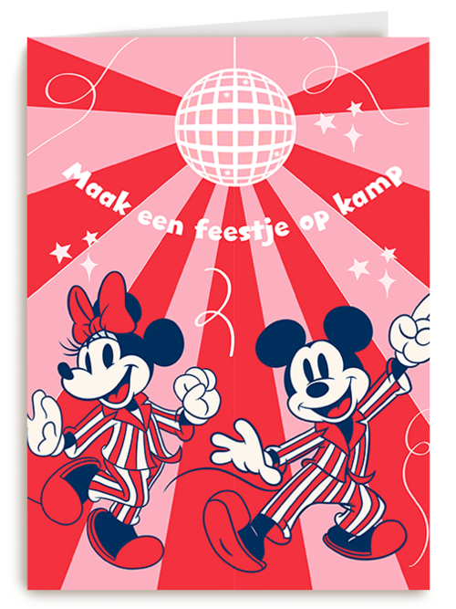 Minnie Mickey Feestje Kamp