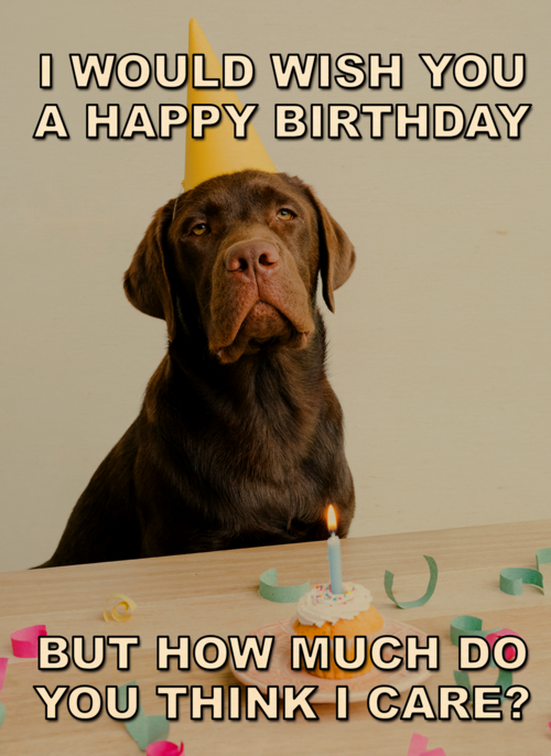 verjaardagskaart met hond met feesthoed