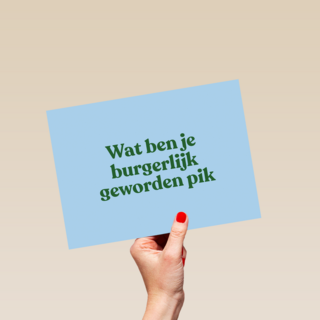 And C wat ben je burgerlijk geworden pik