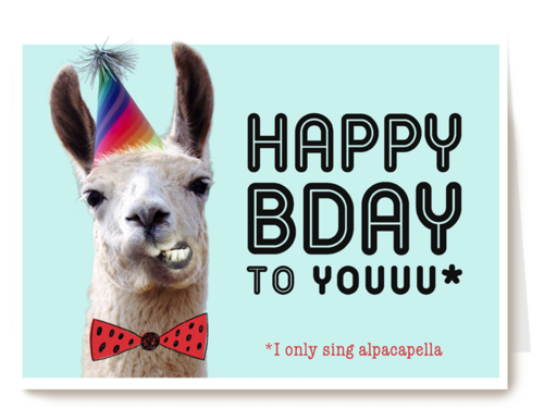 happy bady party alpaca
