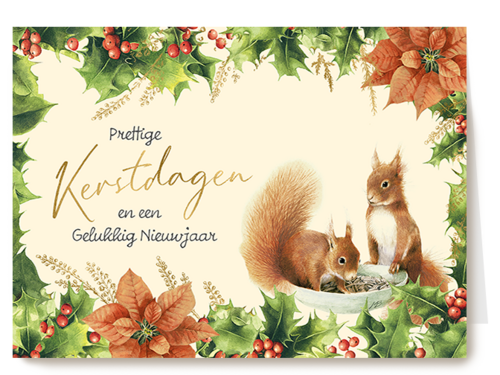 Kerstkaart Hallmark | Marjolein Bastin Kerstdagen Eekhoorn