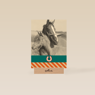 fotokaart voor paarden