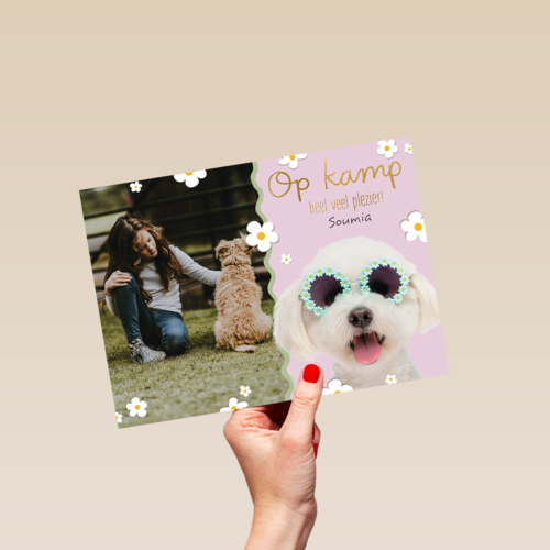 Op kamp heel veel plezier roze hond fotokaart