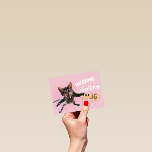 valentijnskaart grappig incoming valentines hug