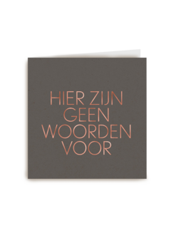 hier zijn geen woorden voor