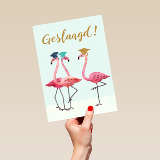 Flamingo geslaagd