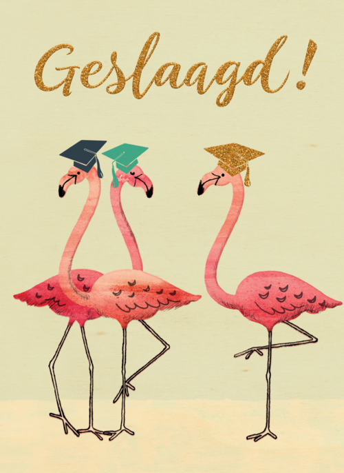 Houten Kaart Diploma | Hallmark | Houten Kaart Hallmark | Diploma | Flamingo Geslaagd