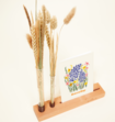 Brievenbuspakket Kaartenhouder Deluxe Droogbloemen Flowershot