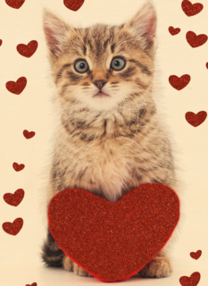 valentijnskaart klassiek poes met hart