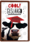 examen cool geslaagd koe