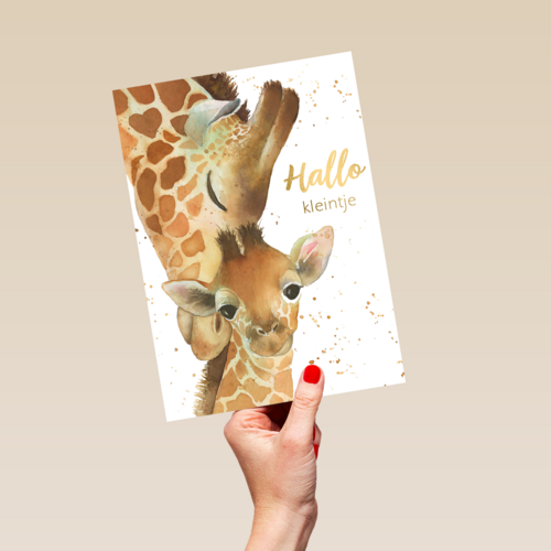 geboorte hallo kleintje giraffe