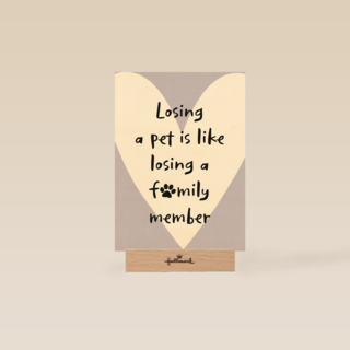 oosing pet like loosing familyl