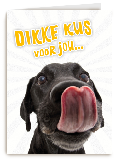 Beterschapskaart Lieve hond Dikke kus voor jou