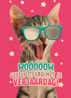 gefeliciteerd van deze coole kat