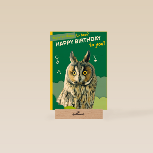 Happy Birthday to hoo