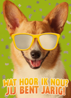 wat een coole hond voor je verjaardag