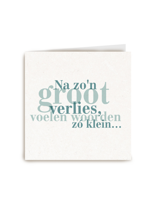 na zo groot verlies voelen woorden zo klein