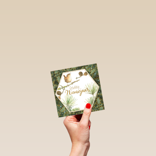 Kerstkaart marjolein bastin vogel