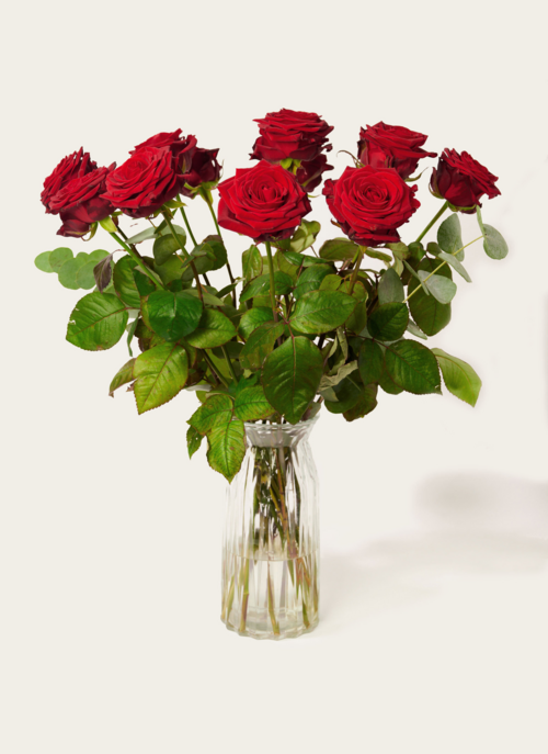 Boeket Bloemen Rode Rozen Luxe | Hallmark Cadeau Bloemen En Planten |