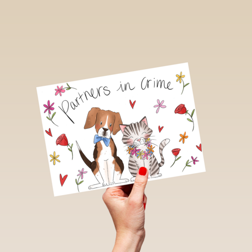 Matia Partners in crime