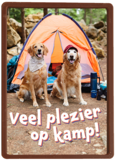 Op kamp kaart 2 honden bij tent