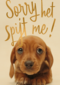 verjaardag te laat sorry het spijt me puppy