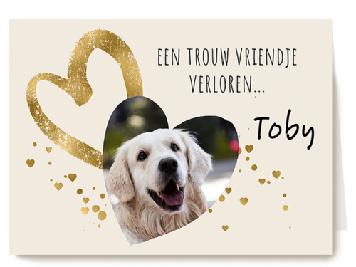 Fotokaart Condoleance Kaarten Herinnering | Fotokaart Hallmark | Condoleance Kaarten Herinnering | Condoleance Rozen Wit