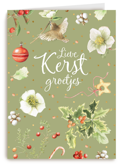 kerstkaart marjolein bastin lieve kerst groetjes vogeltje