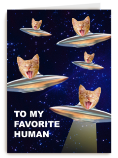To my favorite human