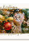 Kat tussen kerstballen