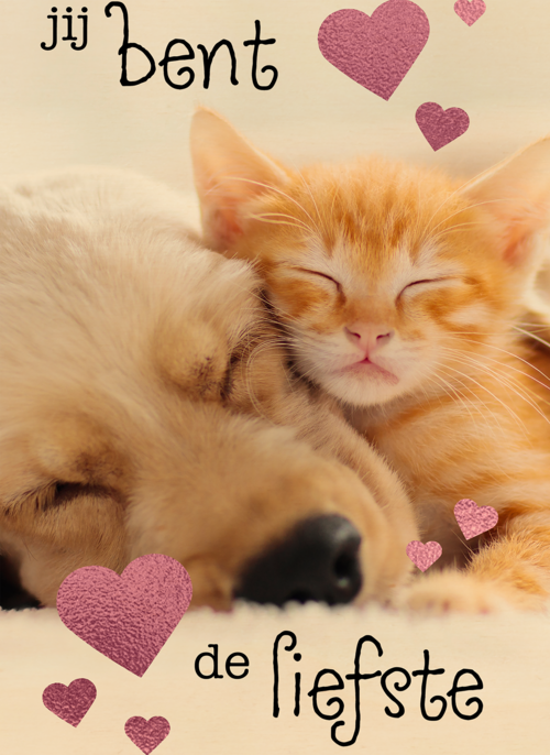 Houten Kaart Valentijn | Houten Kaart Hallmark | Valentijn | Valentijn Jij Bent De Liefste Hond Kat