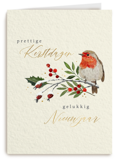 Fijne kerstdagen roodborstje