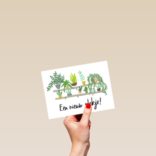 een nieuw plankje voor je planten