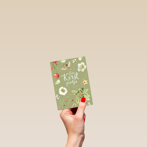 kerstkaart marjolein bastin lieve kerst groetjes vogeltje