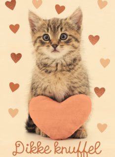 Liefde kaart kat met hart en dikke knuffel