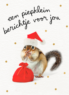Kerstkaart piepklein berichtje voor jou eekhoorn