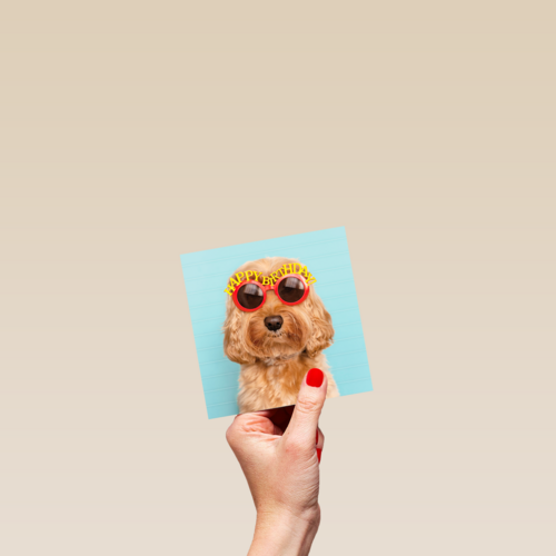 Verjaardagskaart hond met zonnebril