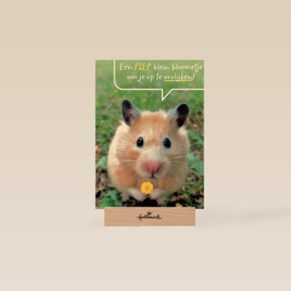 een piepklein bloemetje voor jou