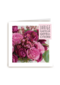 veel roze bloemen