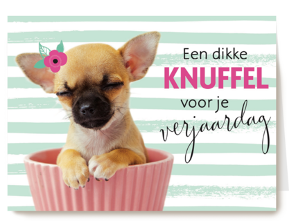 verjaardagskaart met de tekst een dikke knuffel voor je verjaardag