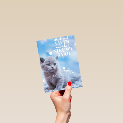 veel liefs voor het nieuwe jaar met deze kitten