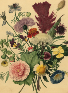 studio art kaart van schilderij met bloemen blanco