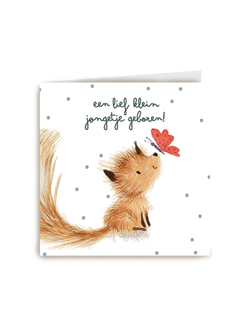 Kaart Hallmark | Geboorte Felicitatie | Geboortefelicitatie Een Lief Klein Jongetje